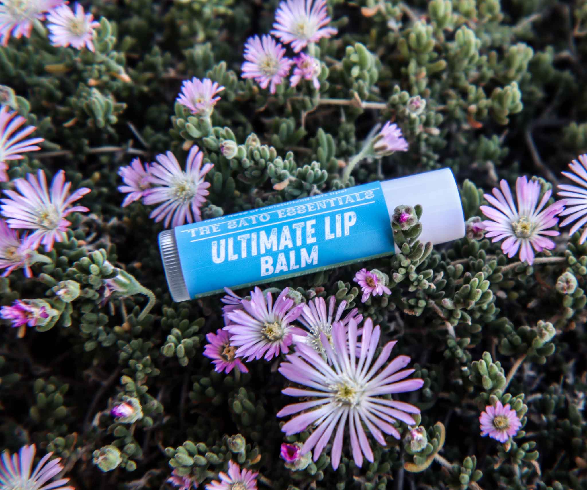 ULTIMATE LIP BALM